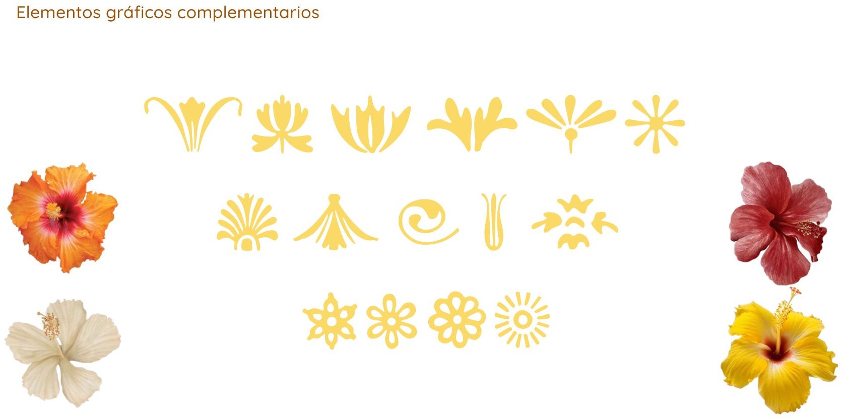 Elementos gráficos