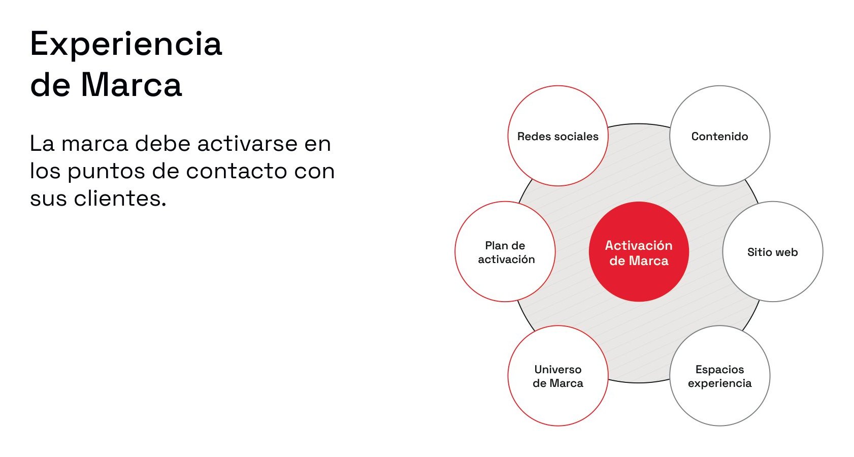Experiencia de marca