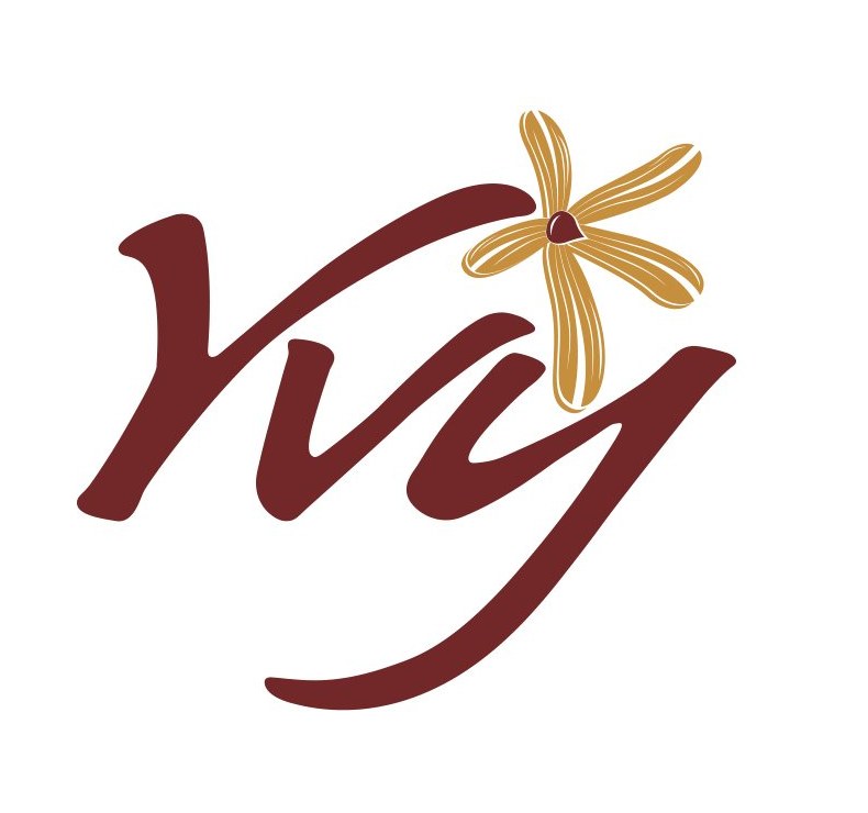 Logo anterior de YVY