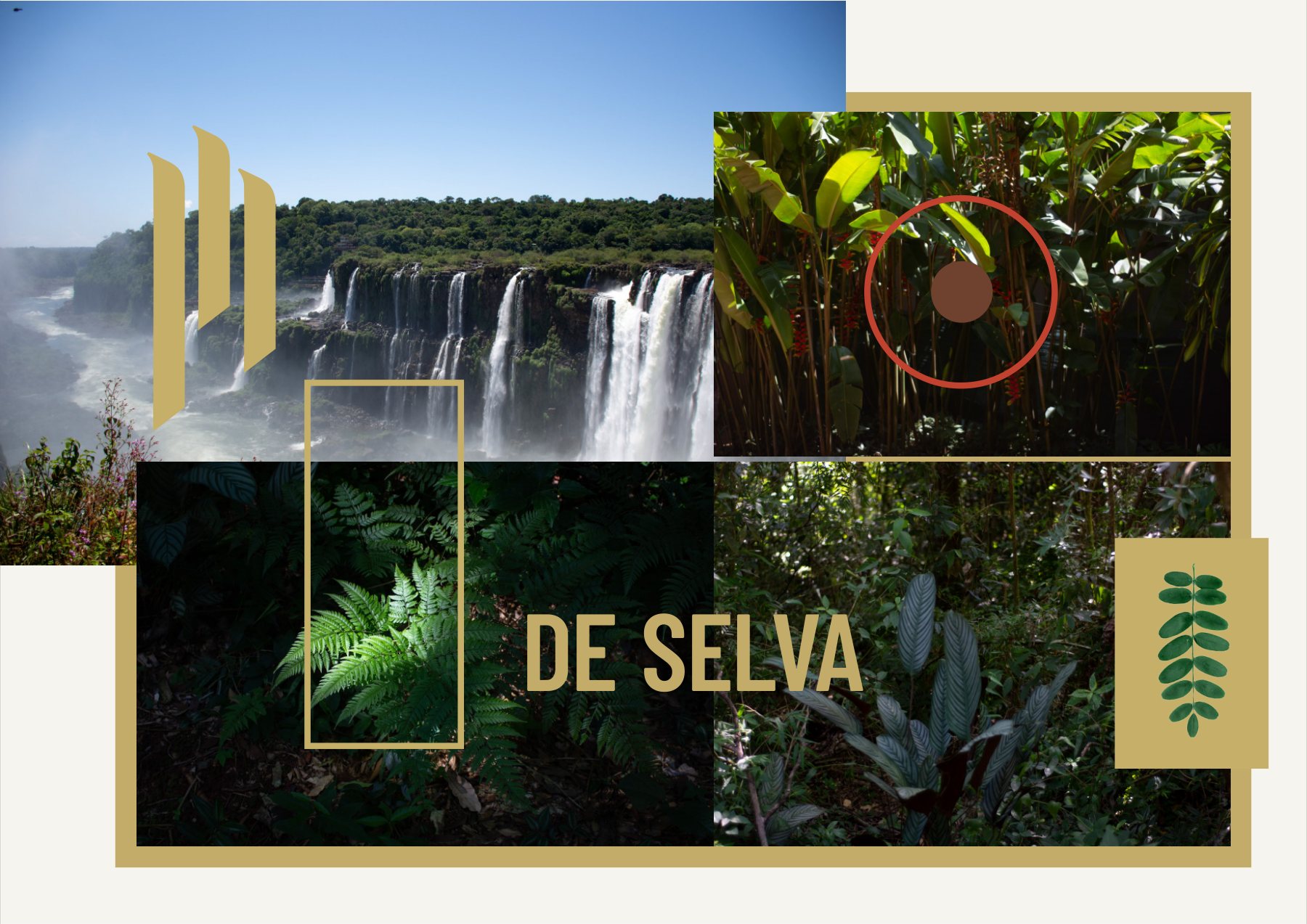 Sistema visual