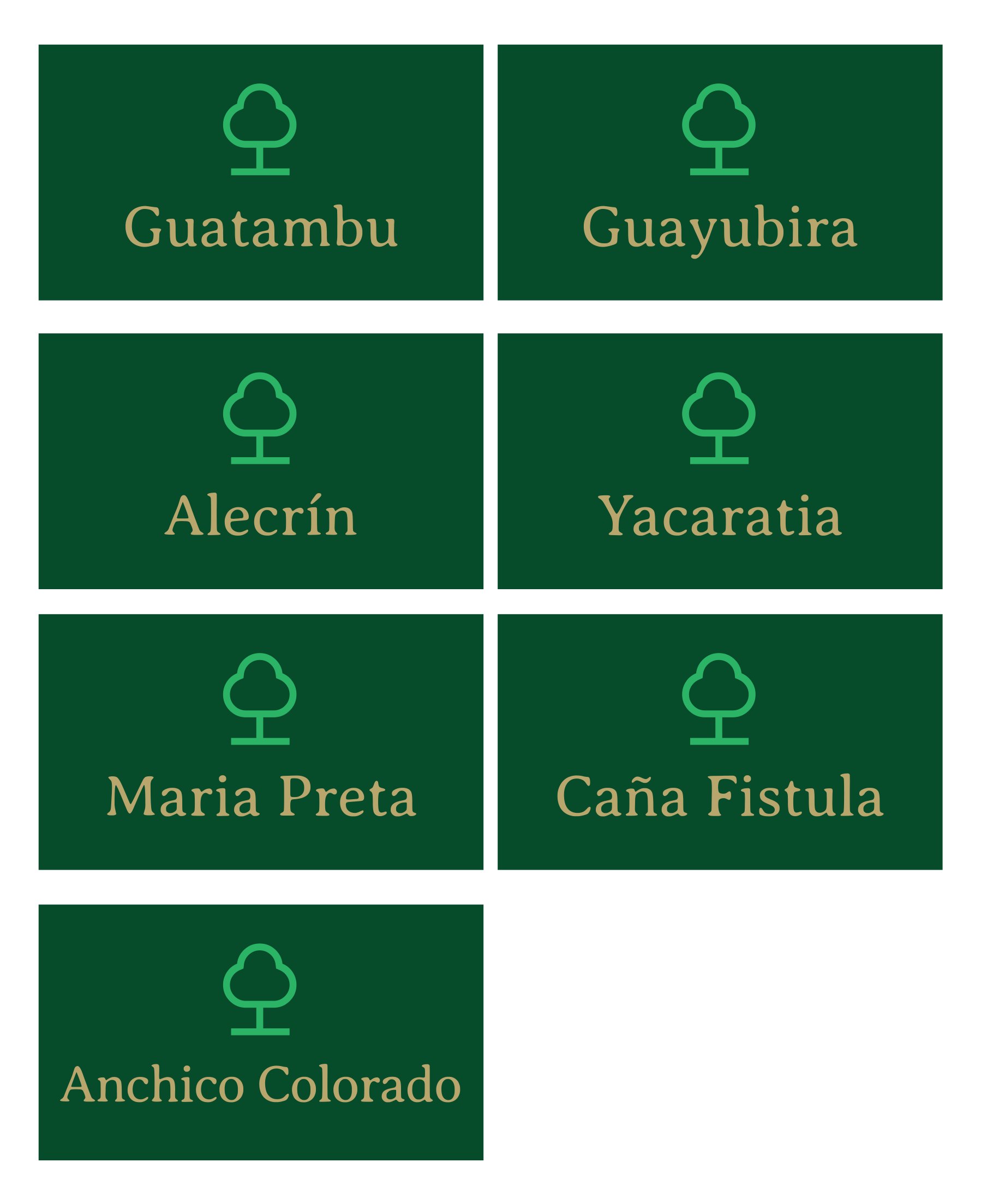 Árboles nativos