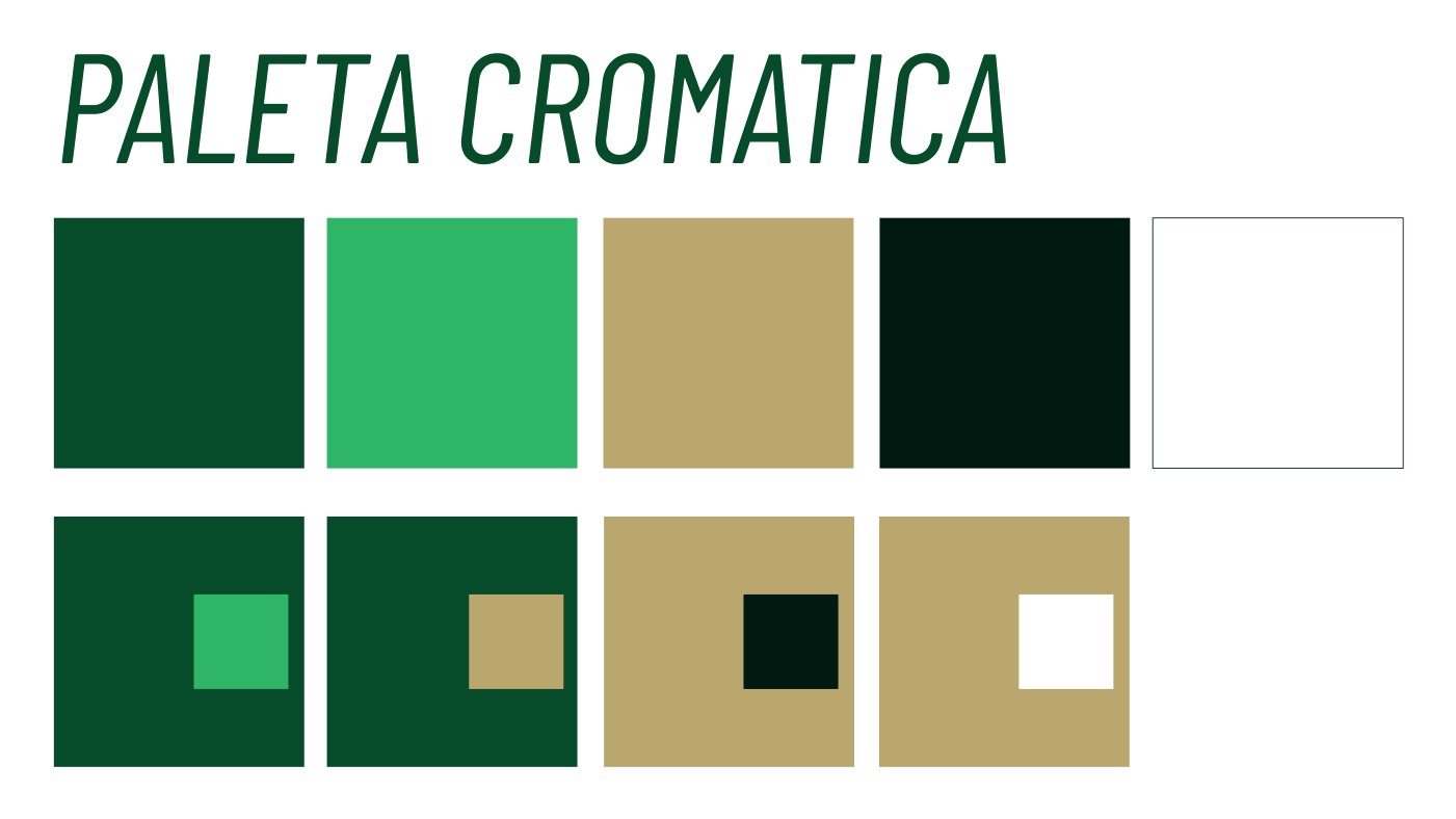 Paleta cromática